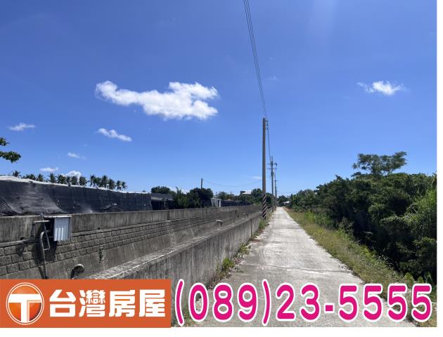 卑南農地-11