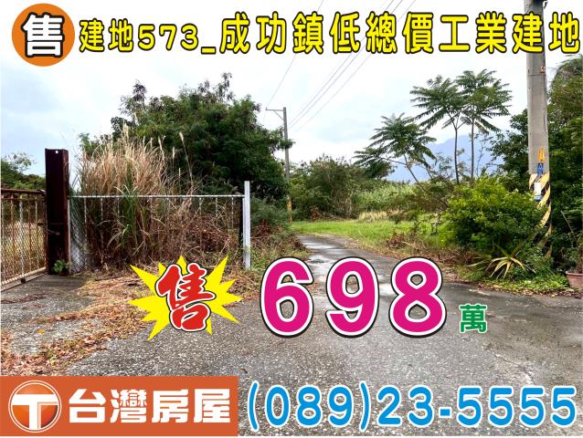 台東成功建地-10