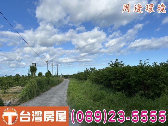 台東市農地-4