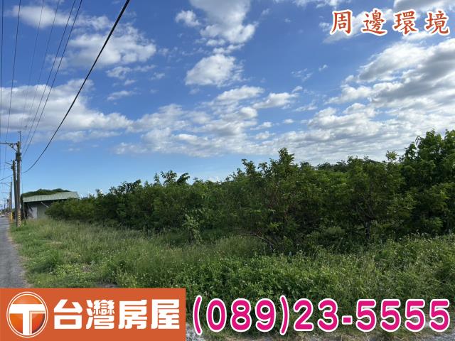 台東市農地-5