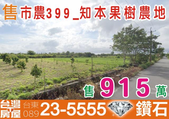 台東市農地-0