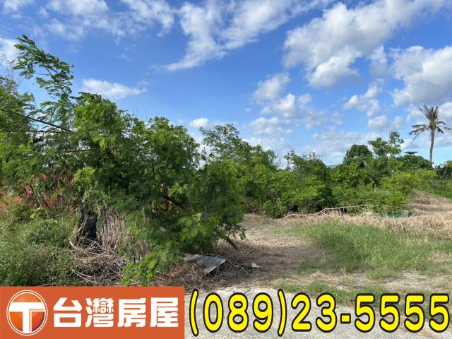 台東市農地-4