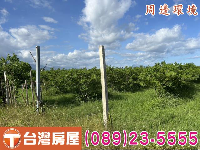 台東市農地-5