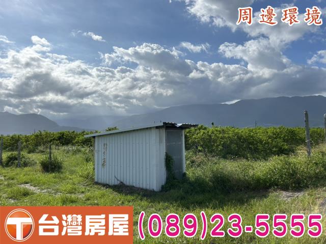 台東市農地-3