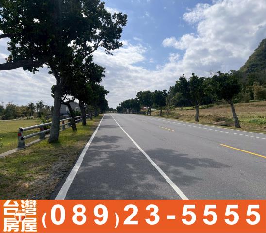 台東成功農地-9