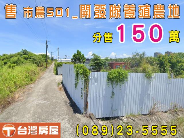 台東台東市農地-0