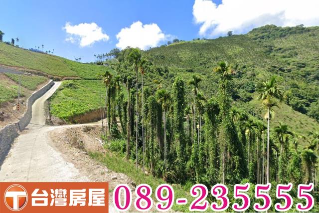 台東太麻里農地-1