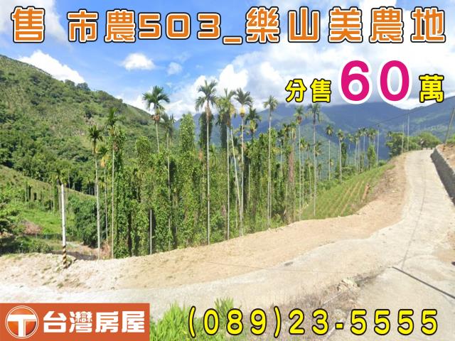 台東太麻里農地-0