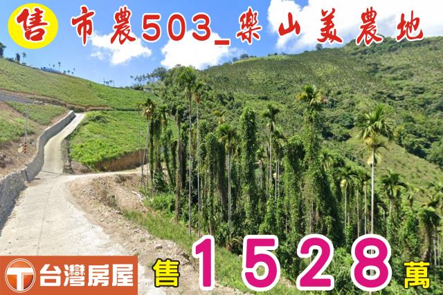 台東太麻里農地-0