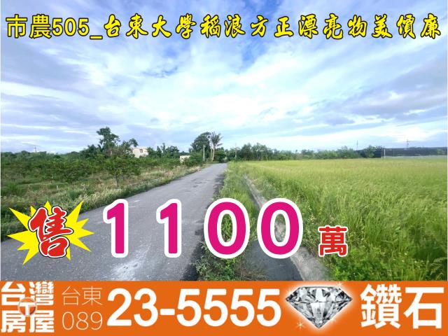 台東台東市農地-1