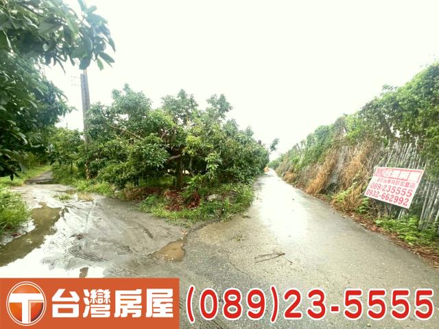 台東台東市農地-2