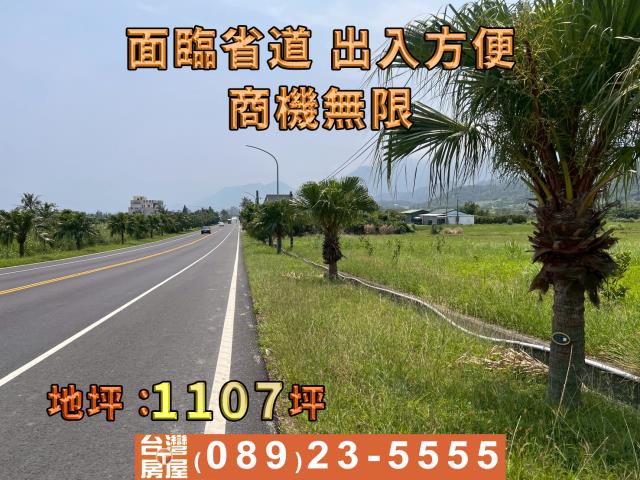 成功農地-5