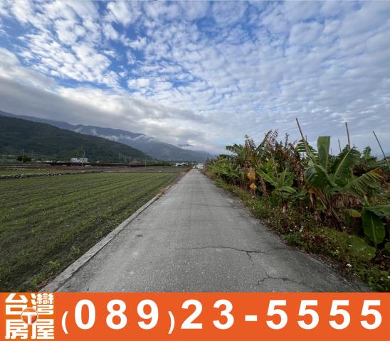 台東鹿野農地-12