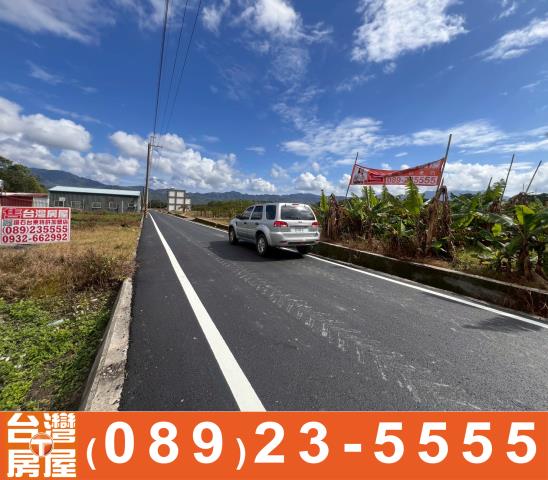 台東鹿野農地-2