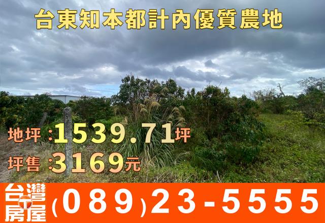 台東台東市農地-10