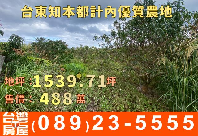 台東台東市農地-3