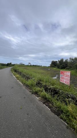 台東長濱農地-4