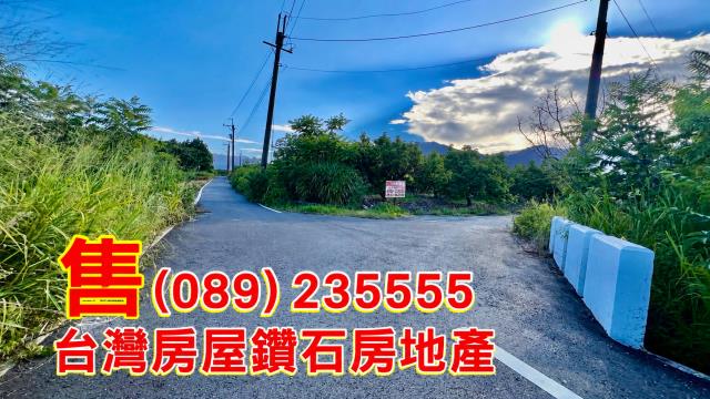 台東市農地-0