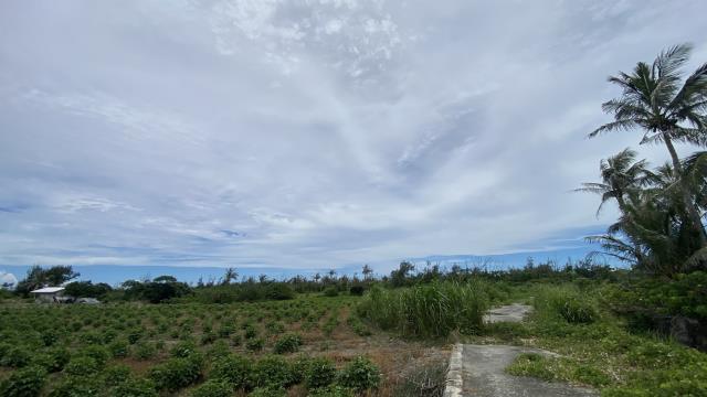 東河農地-6