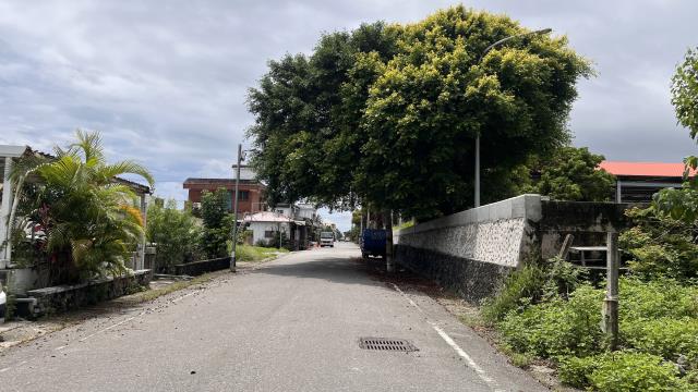 台東建地-0